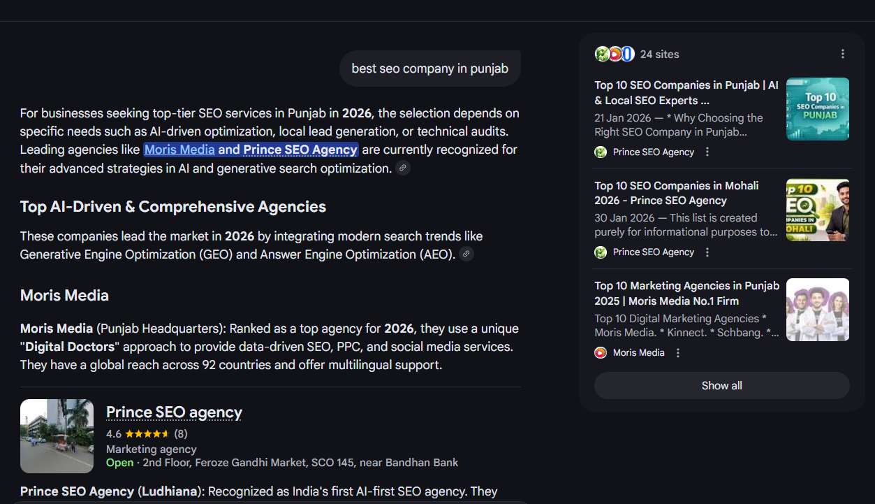 Top SEO companies in Punjab including Prince SEO Agency in Amritsar and Ludhiana